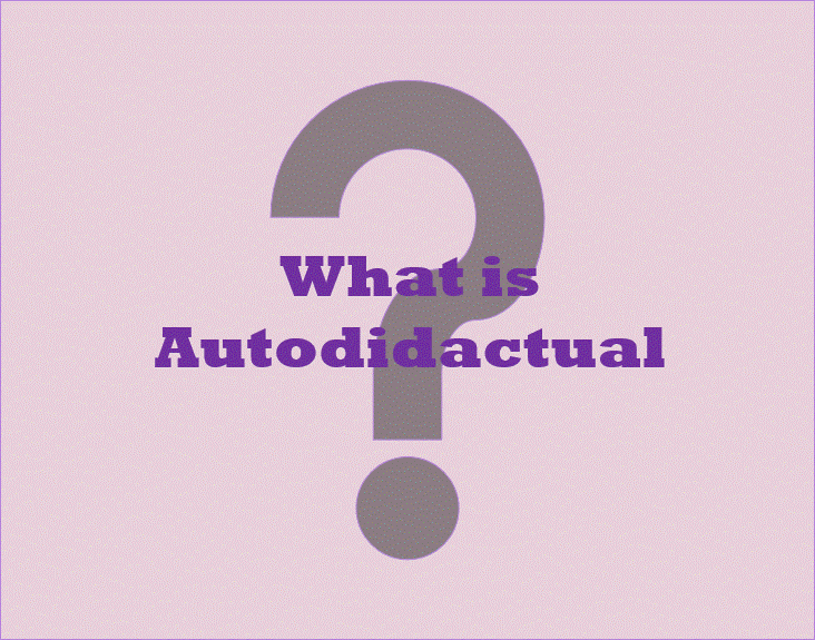 What is Autodidactual
